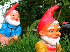 Joyful Gnomes